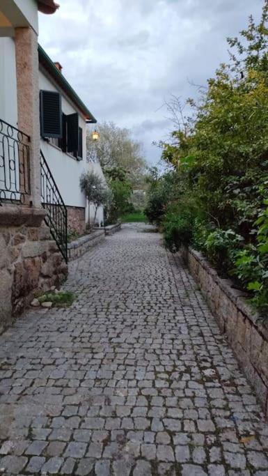 Quinta Da Barbosa Villa Folgosinho Ngoại thất bức ảnh